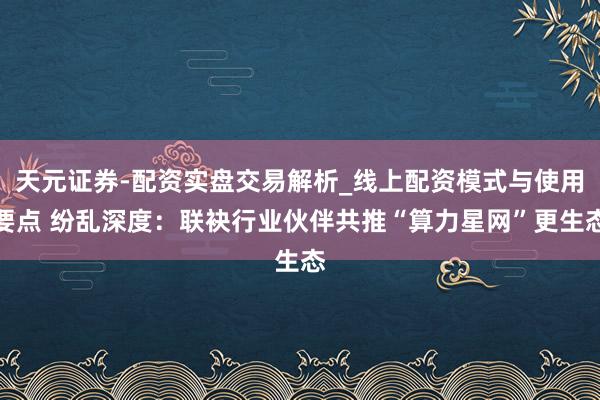 天元证券-配资实盘交易解析_线上配资模式与使用要点 纷乱深度：联袂行业伙伴共推“算力星网”更生态