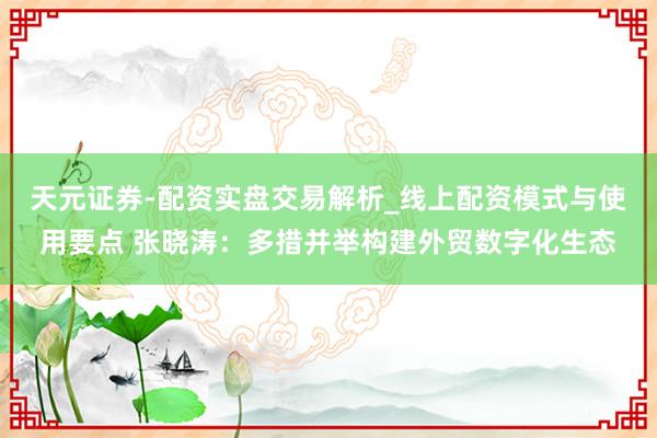 天元证券-配资实盘交易解析_线上配资模式与使用要点 张晓涛：多措并举构建外贸数字化生态